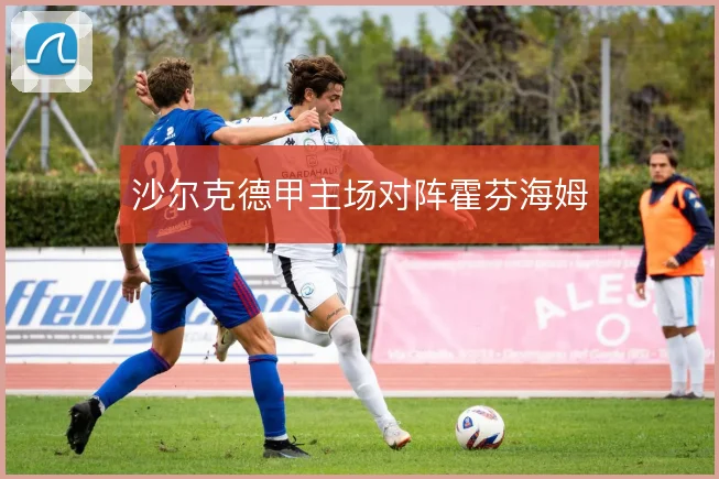 沙尔克德甲主场对阵霍芬海姆