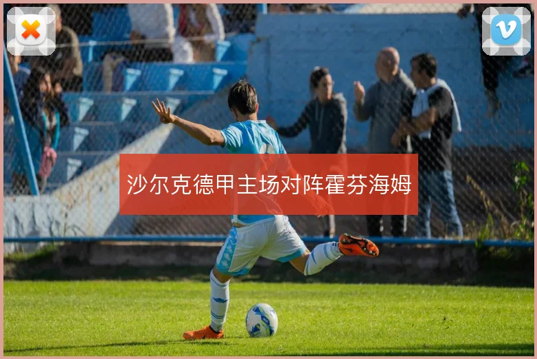 沙尔克德甲主场对阵霍芬海姆