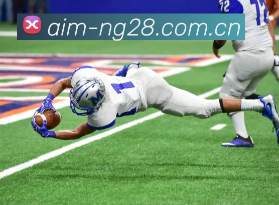 NG28APP 体育赛事宣传图